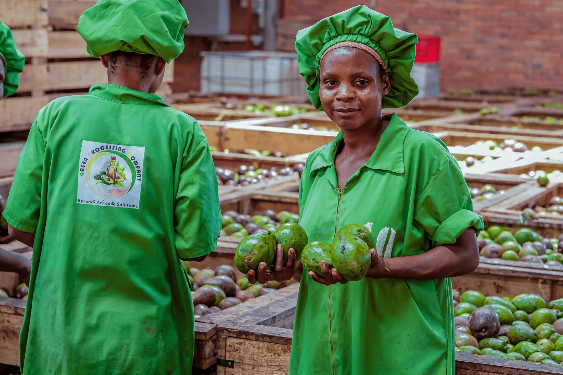 Ouvrière de l’usine présentant des avocats